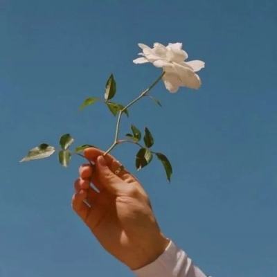 安博体育·(中国)官方网站app下载